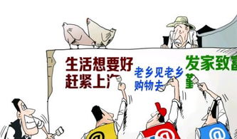 农村电商赋能化肥销售 连接田间地头的智慧桥梁