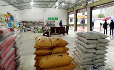 深耕县域，掘金农资 化肥农药种子县级代理经销商的机遇与挑战分析