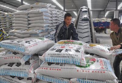 从化肥大国到有机农业强国 中国农业可持续发展的转型之路